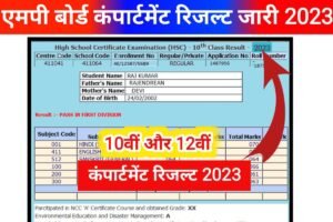 MP Board 10th 12th Supplementary Result 2023 Publish